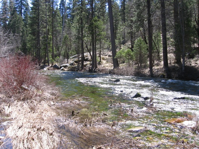 [Wawona campground Yosemite8[6].jpg]